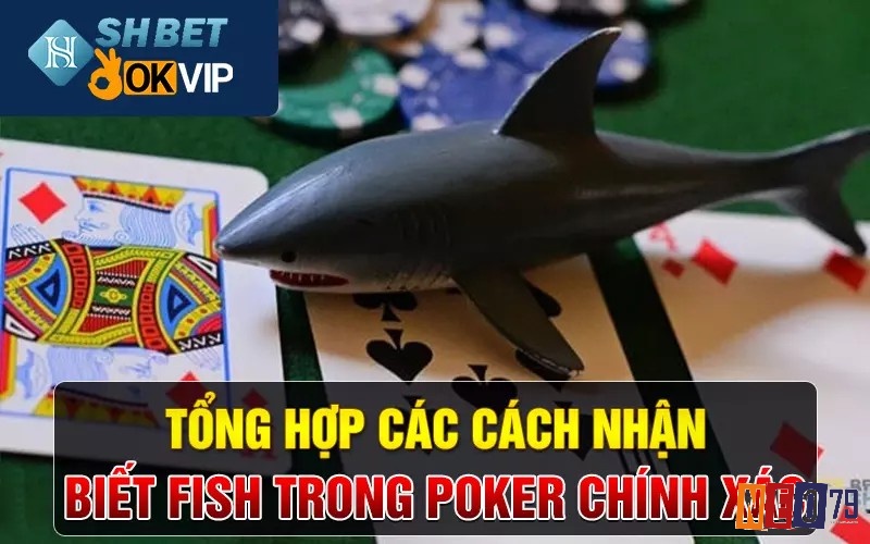 Khám phá các dấu hiệu để nhận biết fish trong poker hiệu quả