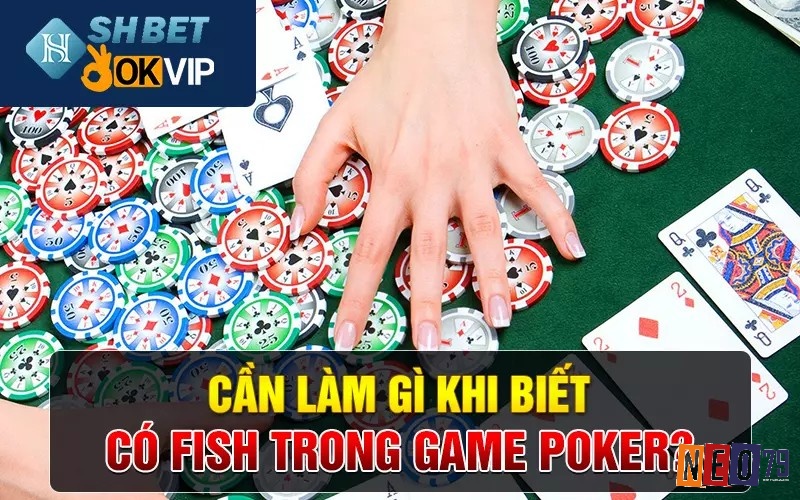 Tìm hiểu những phương pháp để đối phó với fish trong poker nhé